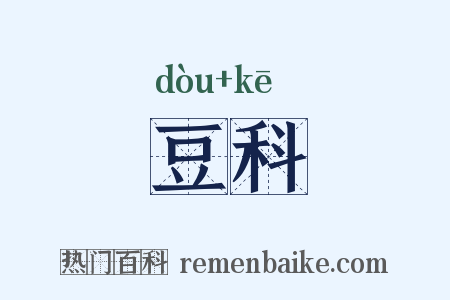 豆科是什么意思的图片
